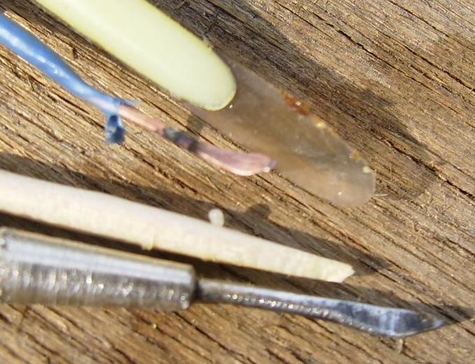 [kaÅŸÄ±klar.JPG]