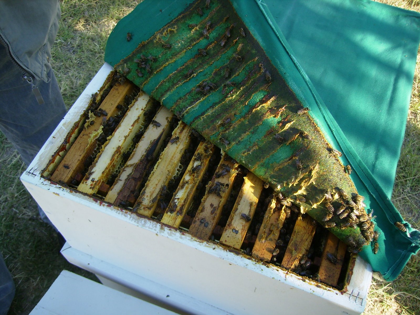 [P7120059.JPG]