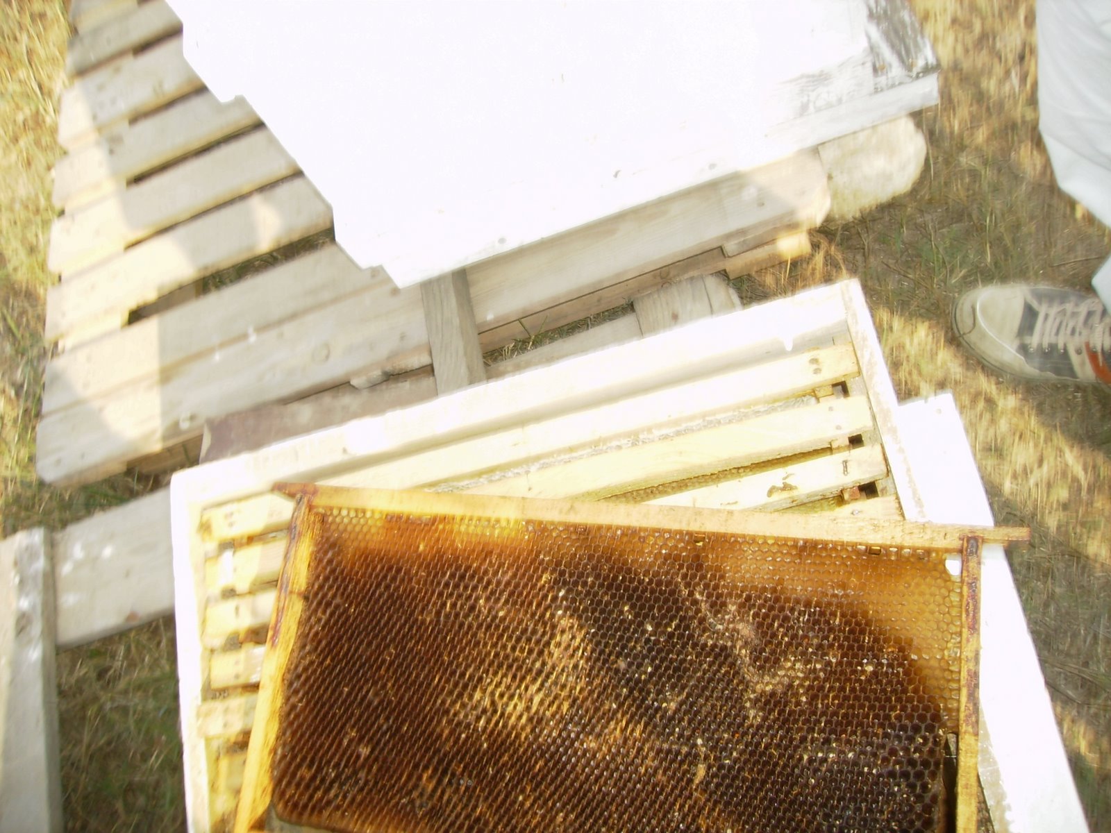 [P8290166.JPG]