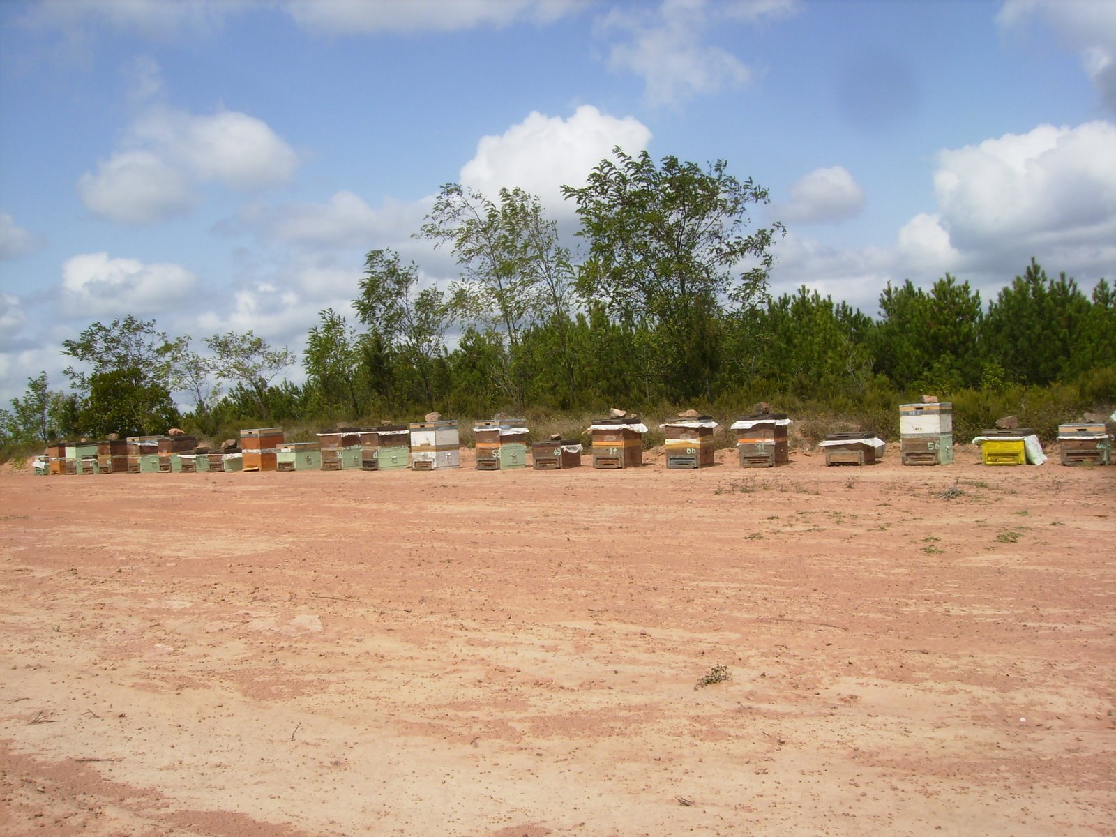 [P8300042.JPG]