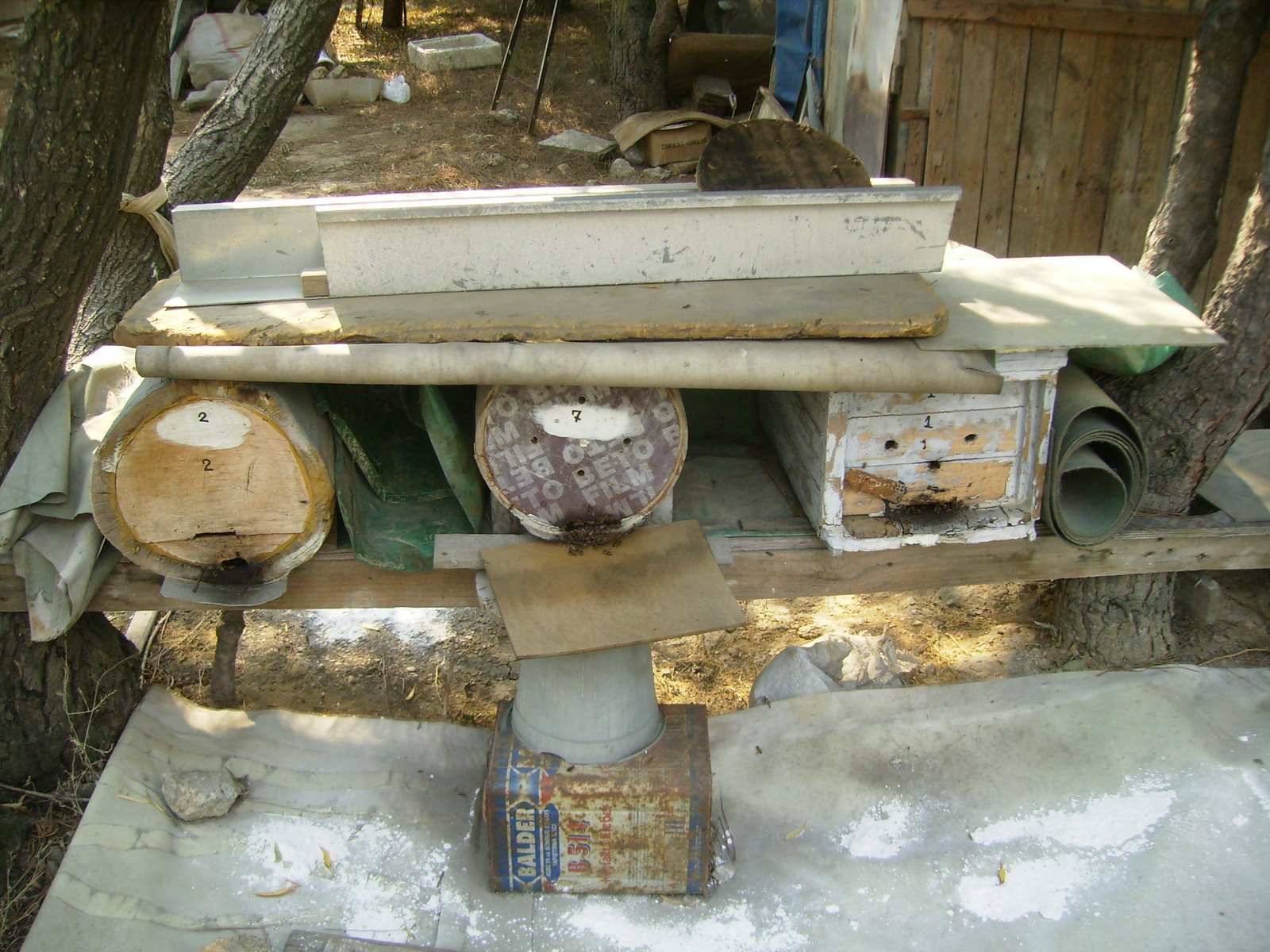 [P8290156.JPG]