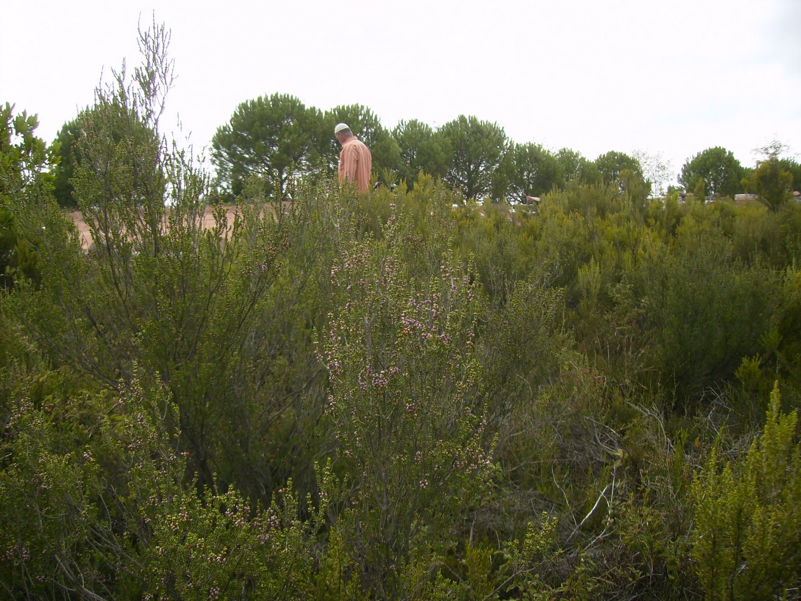 [P9130032.JPG]