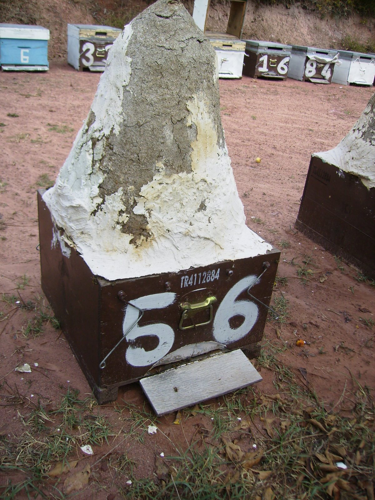 [P8300073.JPG]