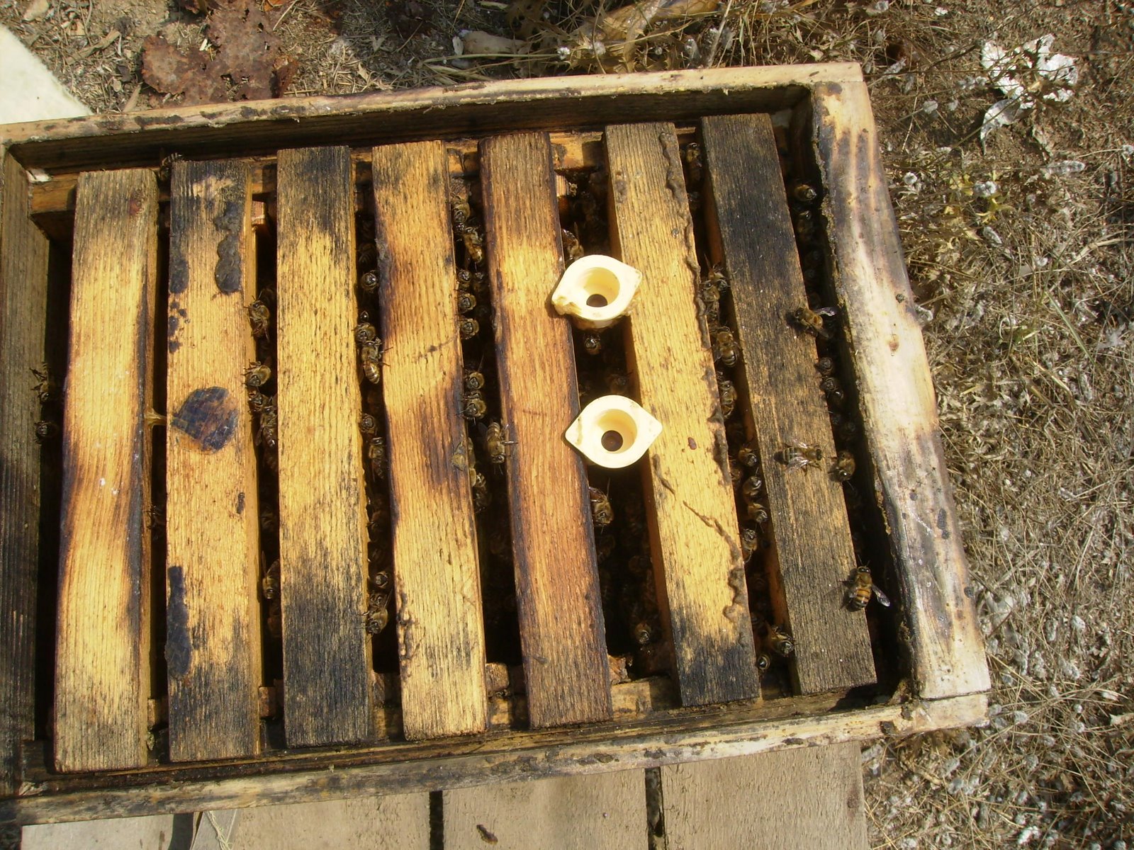 [P9120007.JPG]