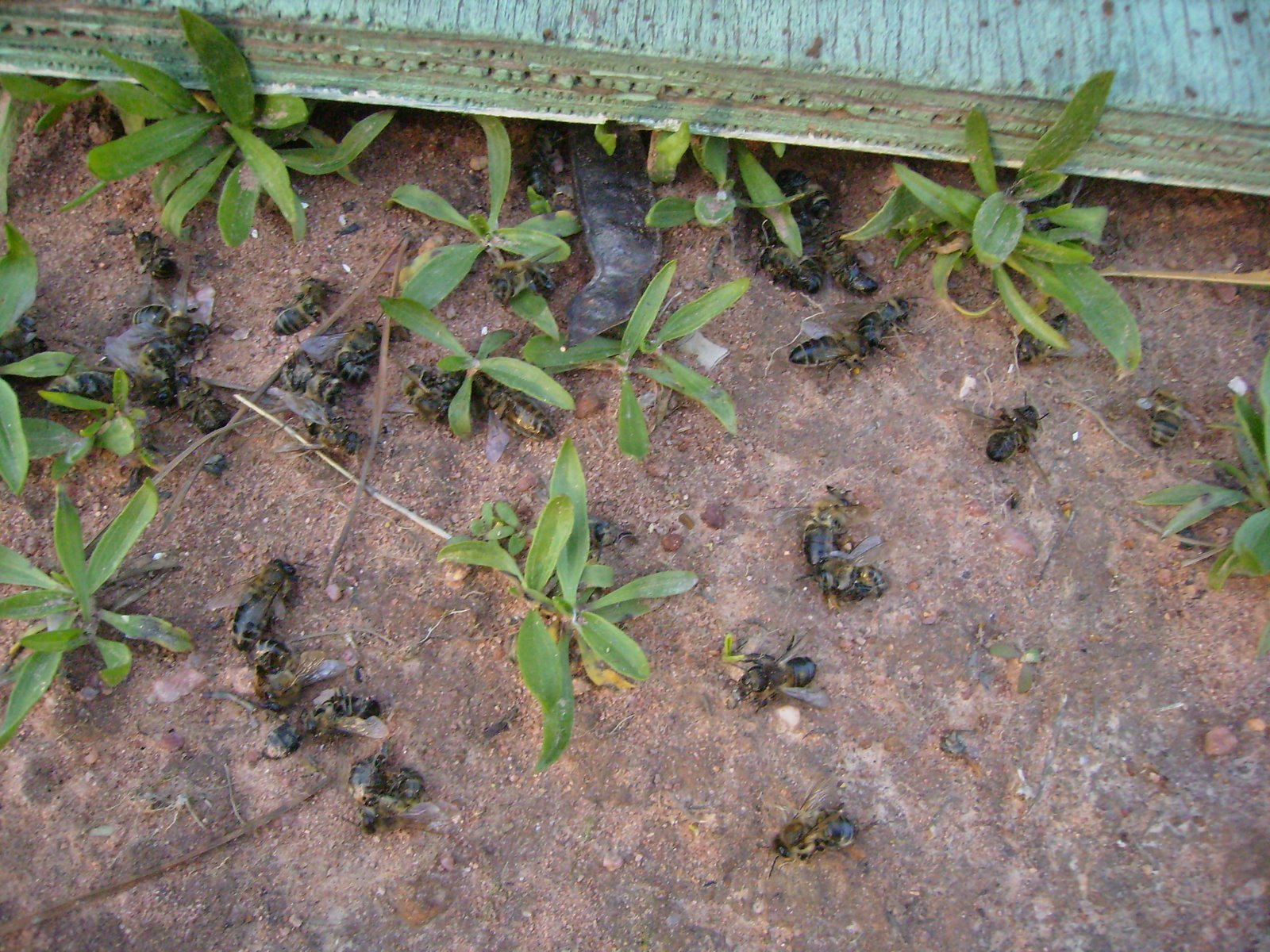 [PA090081.JPG]