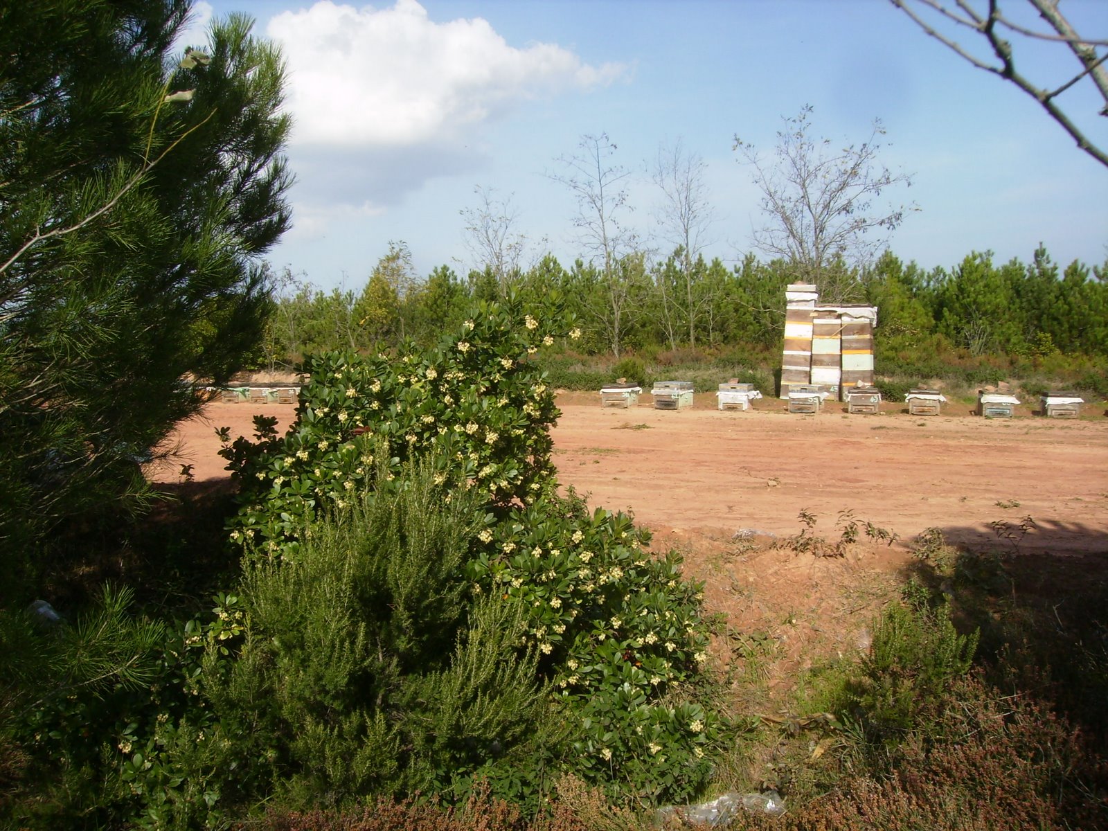 [PA280037.JPG]