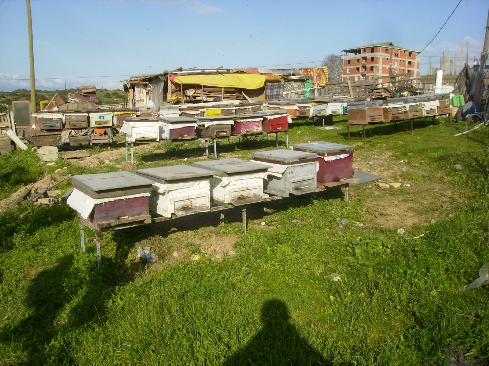 [PB040010.JPG]