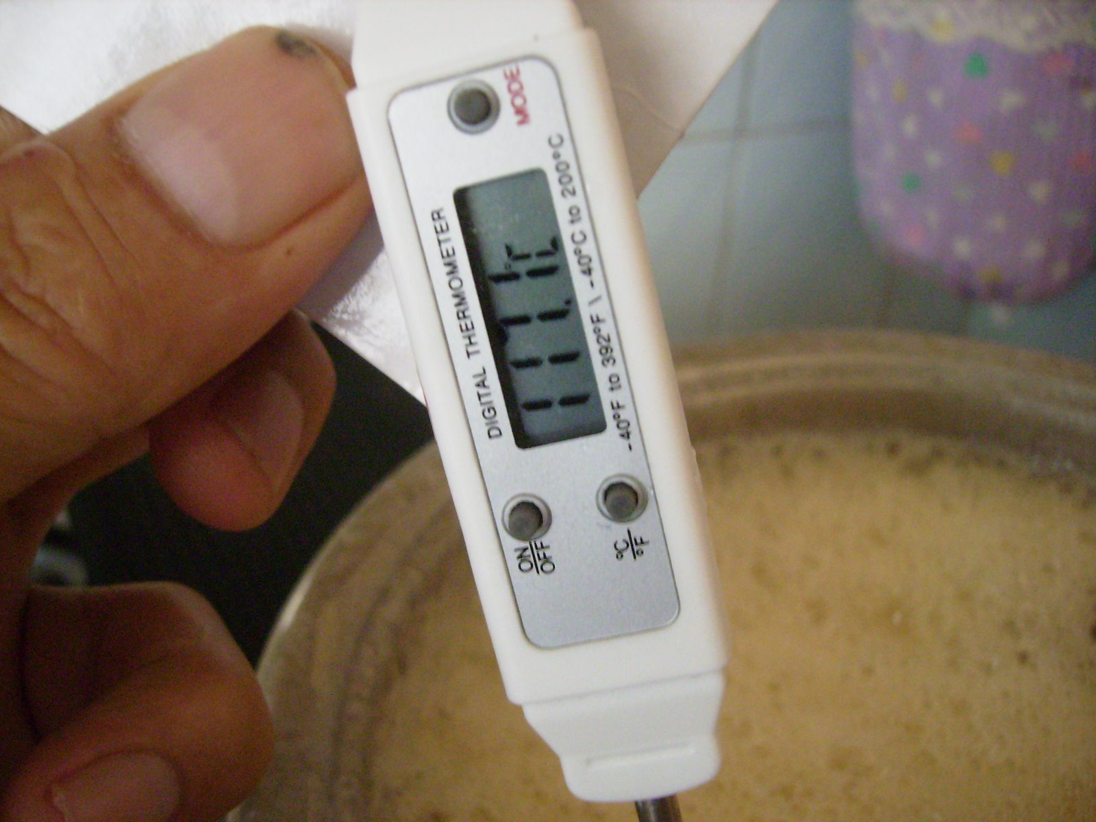 [PB040007.JPG]
