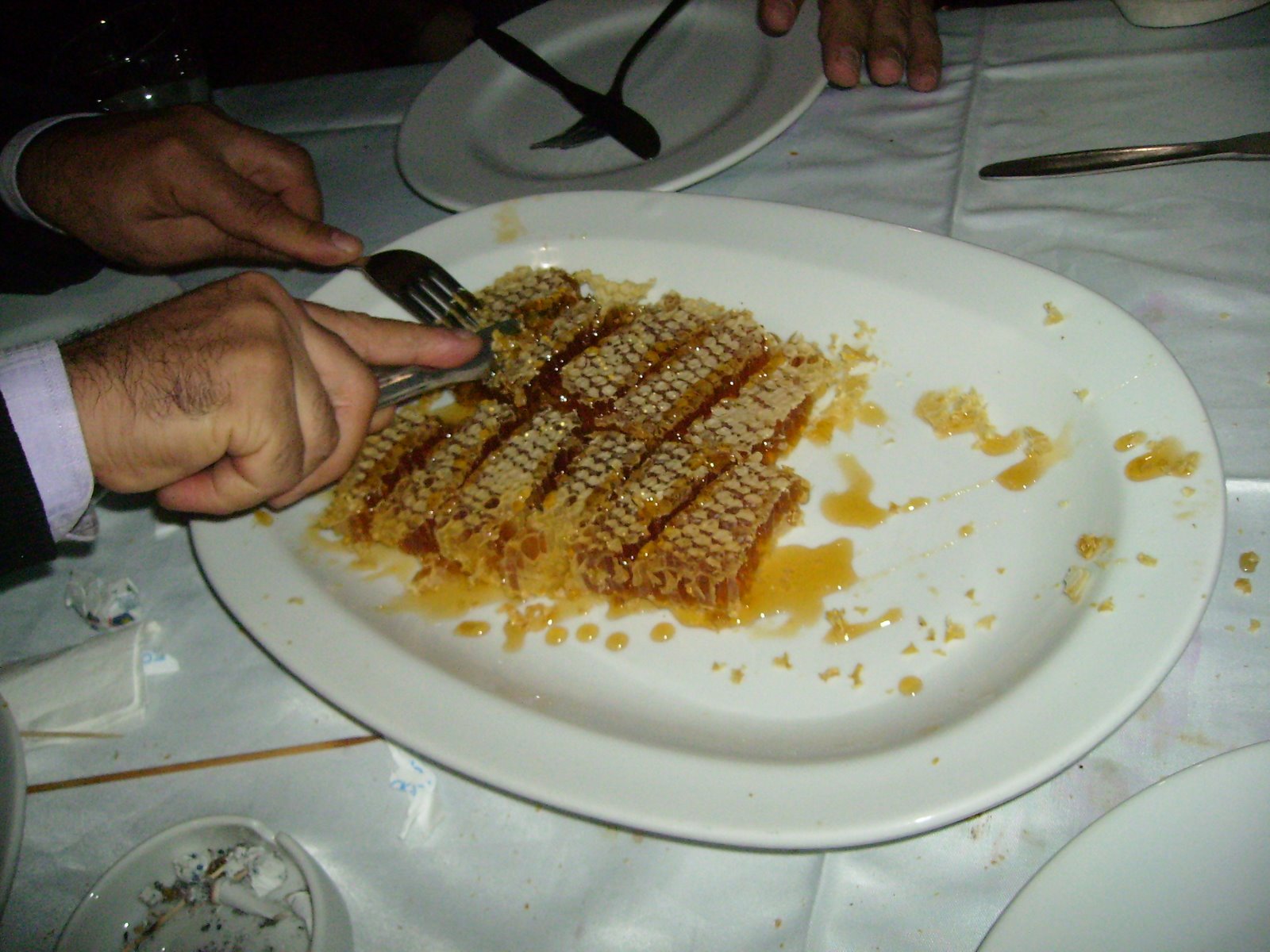 [PB110094.JPG]