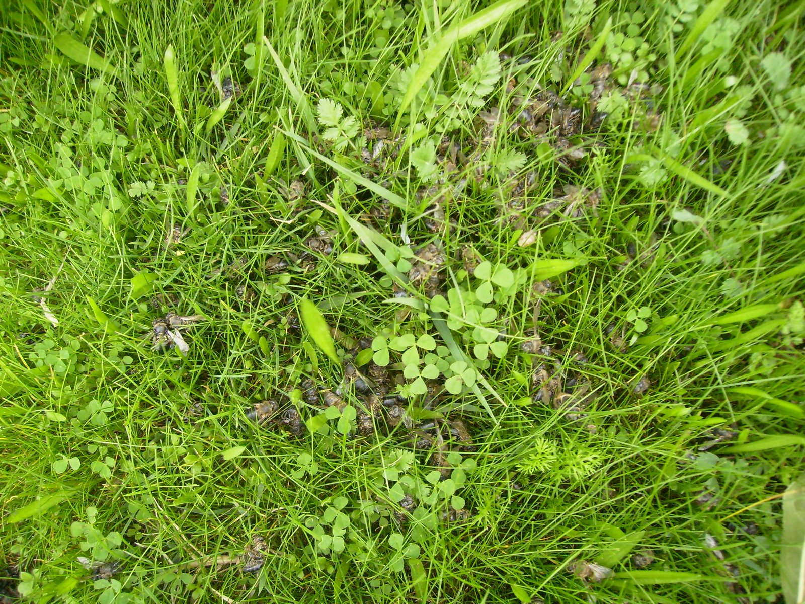[PB170019.JPG]