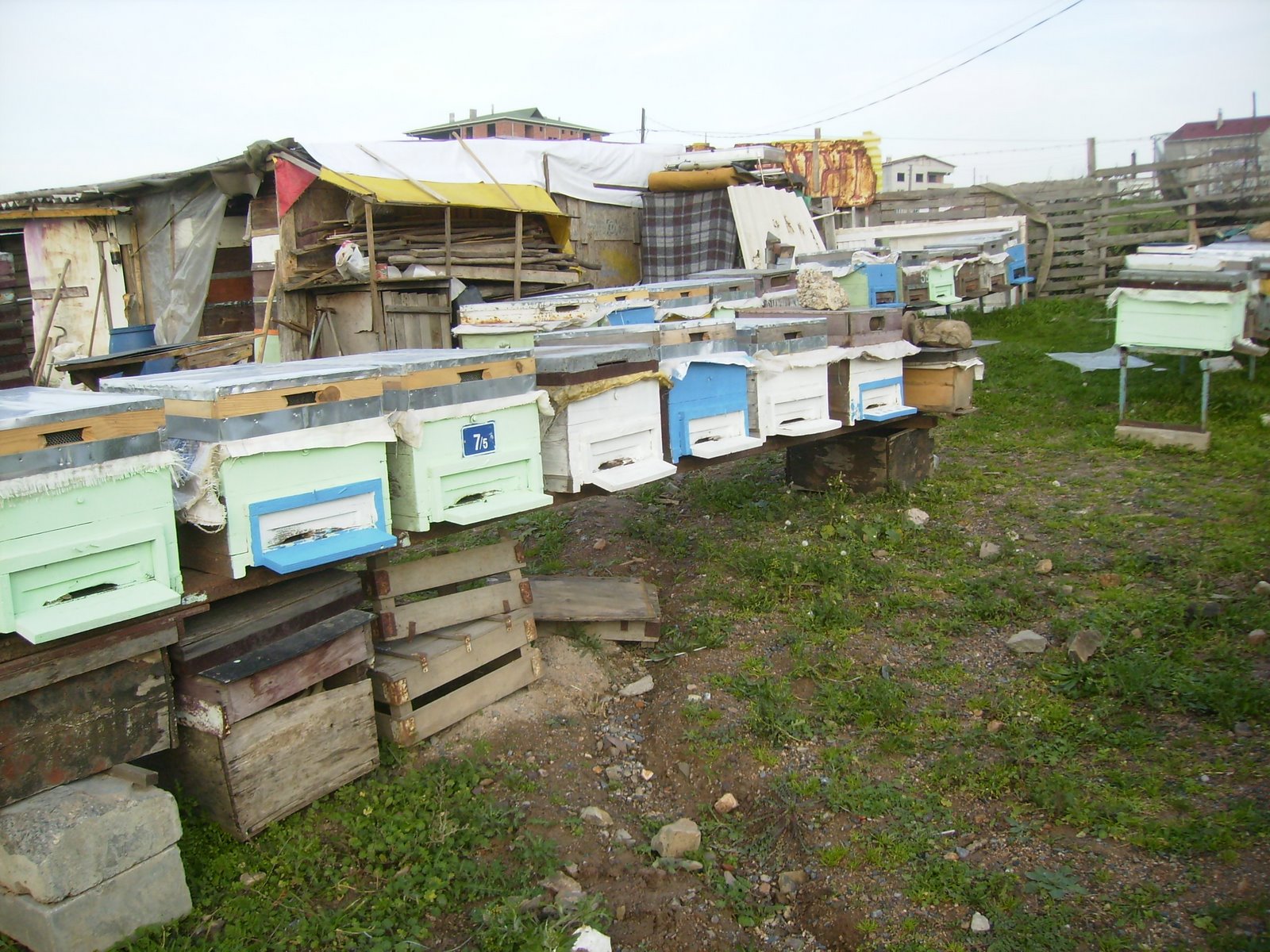 [PC130040.JPG]