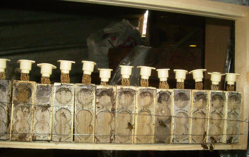 [29nisan2009.JPG]