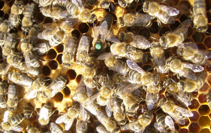 [SAFKARNÄ°YOL61.JPG]