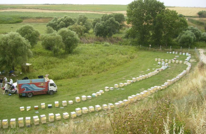 [28haziran200902.JPG]