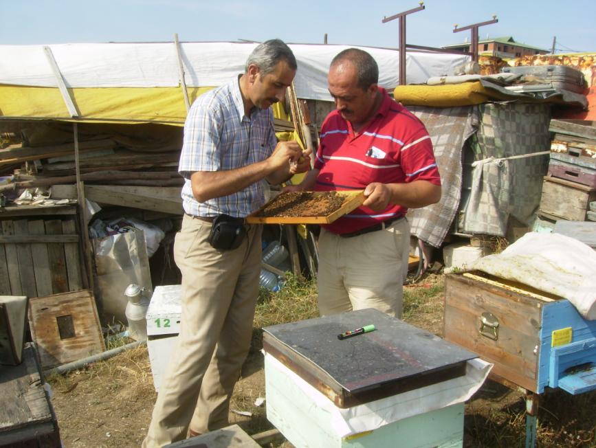 [10temmuz200904.JPG]