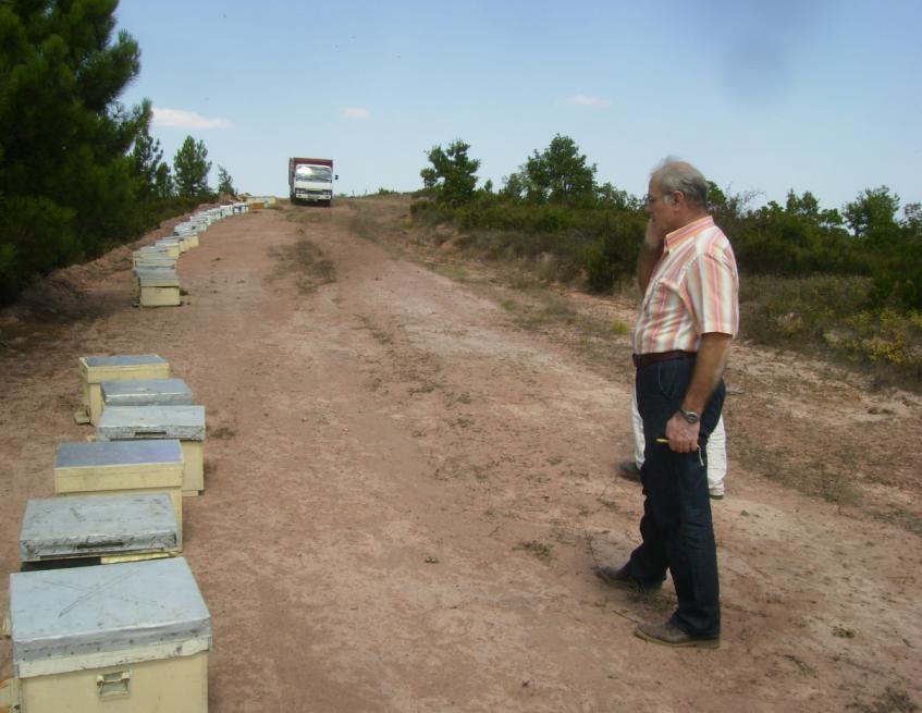 [3eylÃ¼l200901.JPG]