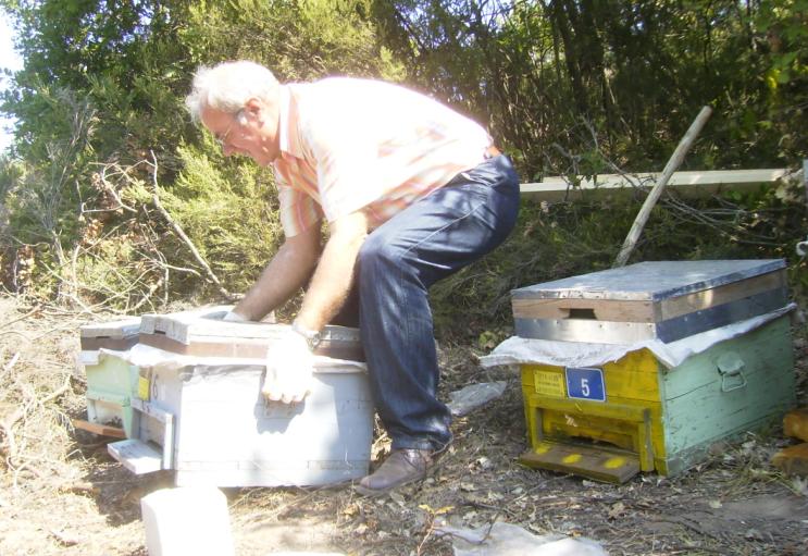[3eylÃ¼l200910.JPG]