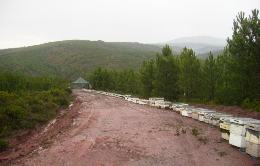 [13eylul200905.JPG]