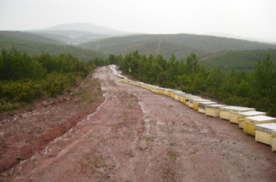 [13eylul200906.JPG]