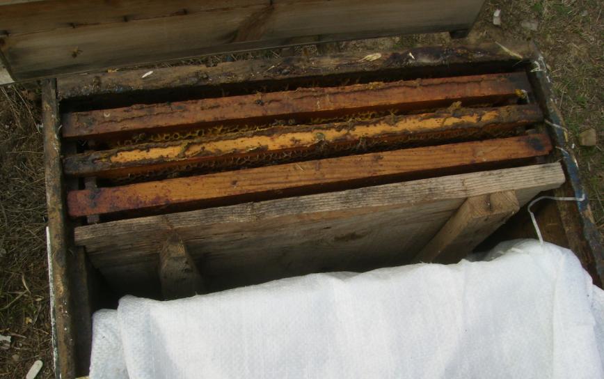 [ilhamiabininbolmesi.JPG]