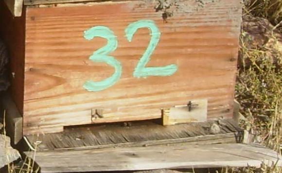 [22eylul200911.JPG]