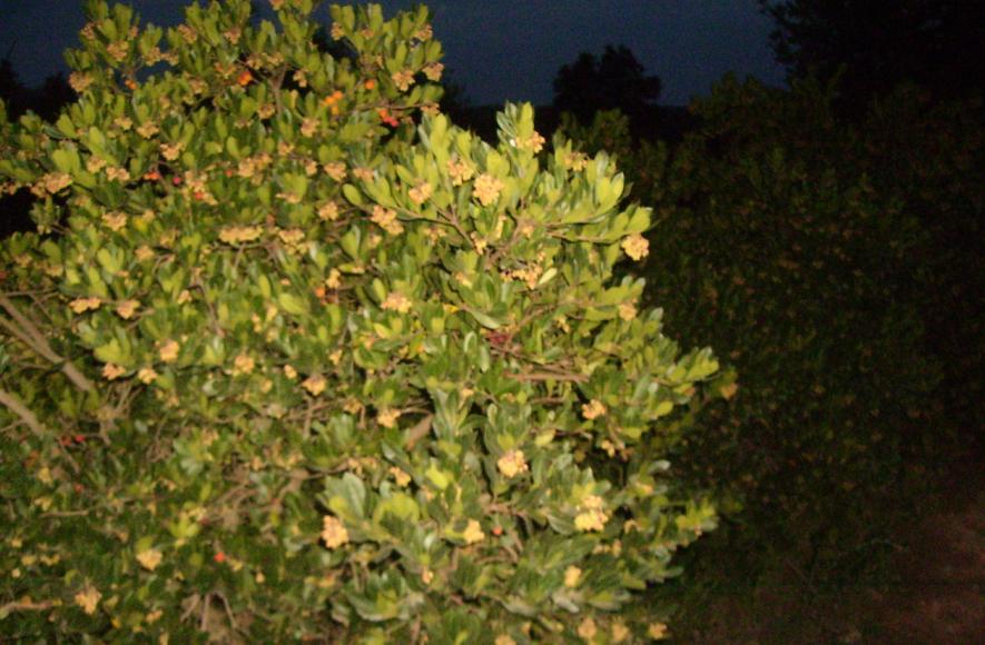[15ekim200902.JPG]