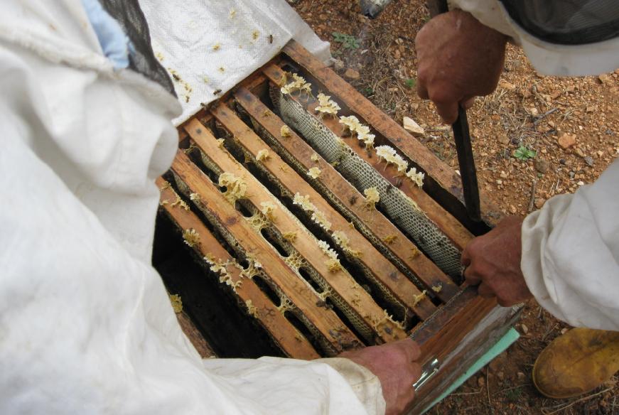 [blokkovanlar02.JPG]