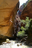 Zion Narrows