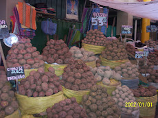 batatas andinas