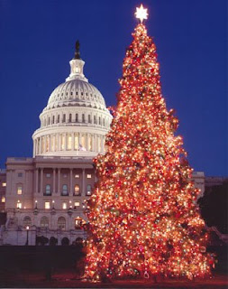 Christmas Tree at white house nice snap