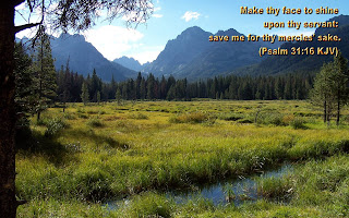 Free download beautiful mountains in forest nature greenery background with Psalm 31 16 KJV verse as Make thy face to shine upon thy servant, save me for the mercies sake pic