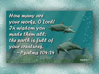 How many are your works, O lord! In wisdonm you made them all; the earth is full of your creatures. Pslams 104:24 verse free christian nature image for pc desktop