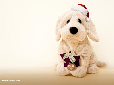 Christmas Santa Claus dog costume by Cute puppy and holding a gift for Christmas- Nice image free Christian Christmas photos and religious wallpapers download