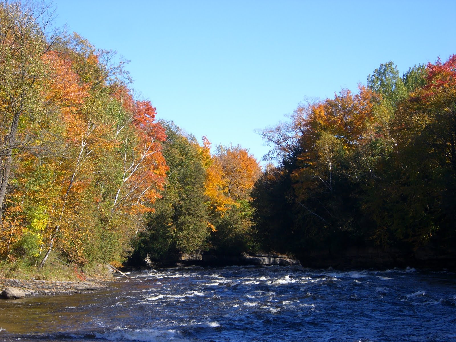 site de rencontre fermier québec