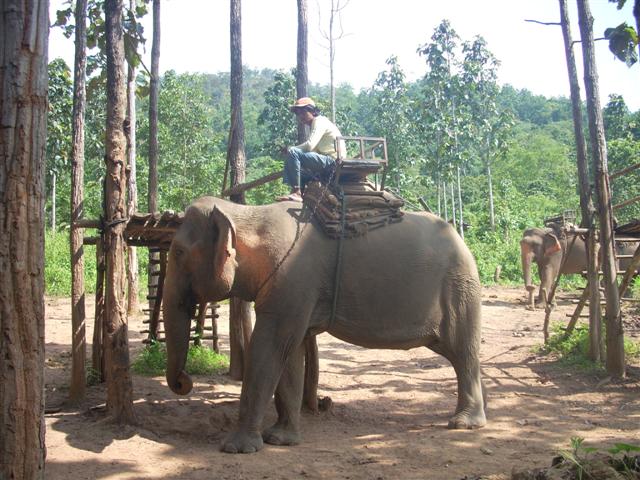 [DSCN0228+(Small).JPG]