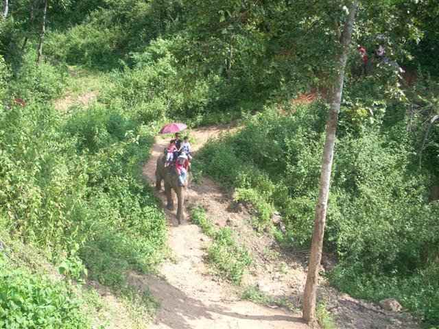 [DSCN0244+(Small).JPG]