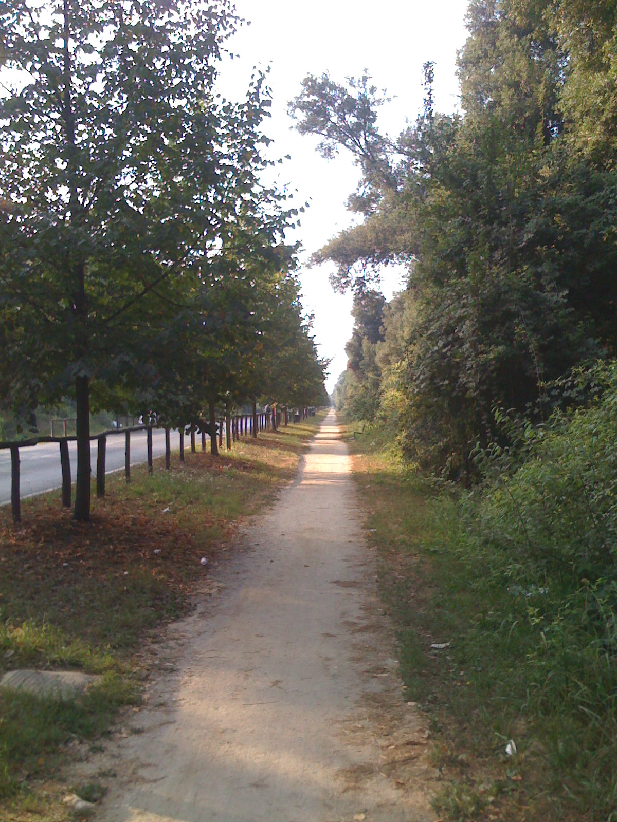 [test+036.jpg]