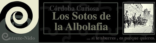 Sotos de la Albolafia