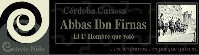 Abbas Ibn Firnas