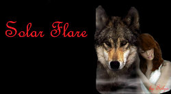 Solar Flare