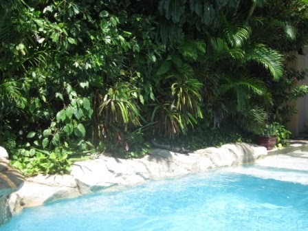 secret florida gardens amazing south paradise tropical garden robert