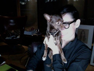 Demi Moore Chihuahua Demi Moore Chihuahua