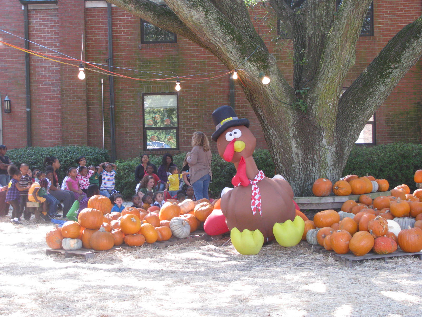 WILMINGTON NC WHERE TO FIND A PUMPKIN