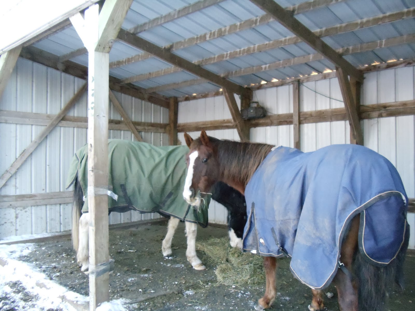 Curtis PDF Plans Horse Lean To Shelter Plans 8x10x12x14x16x18x20x22x24