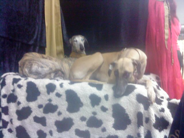 [bm-image-708940.jpe]