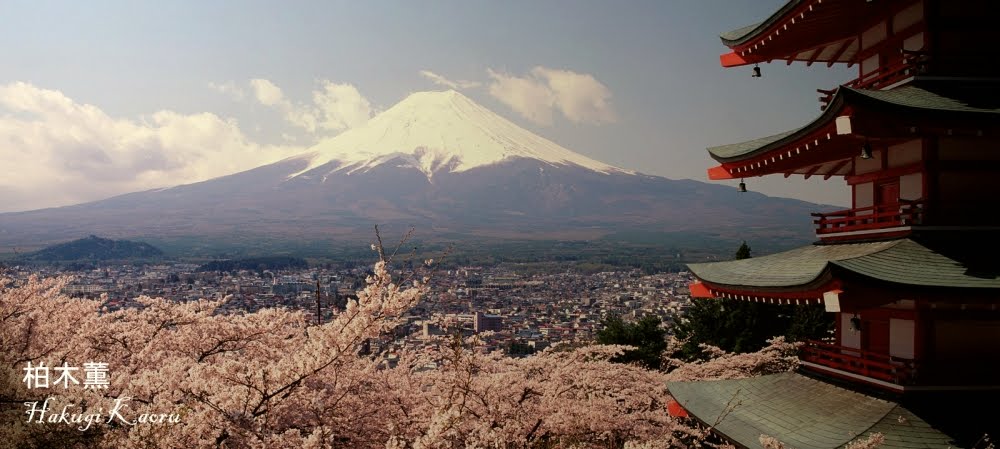 Hakugi Kaoru (柏木薫)