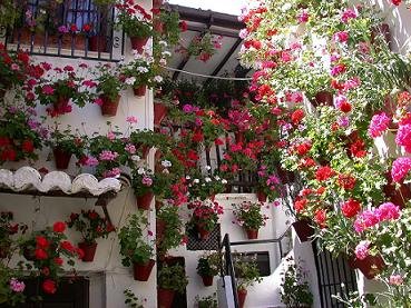 [patios8.jpg]