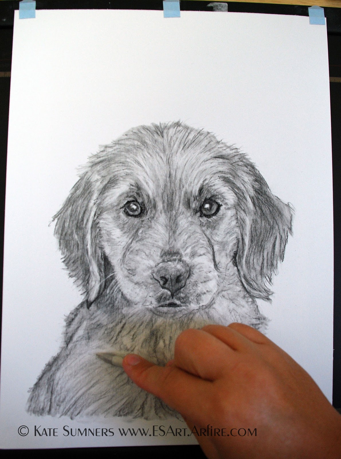Endless Sumners Art How To Draw a Dog with Charcoal Pencil
