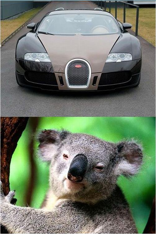 [carro1.jpg]