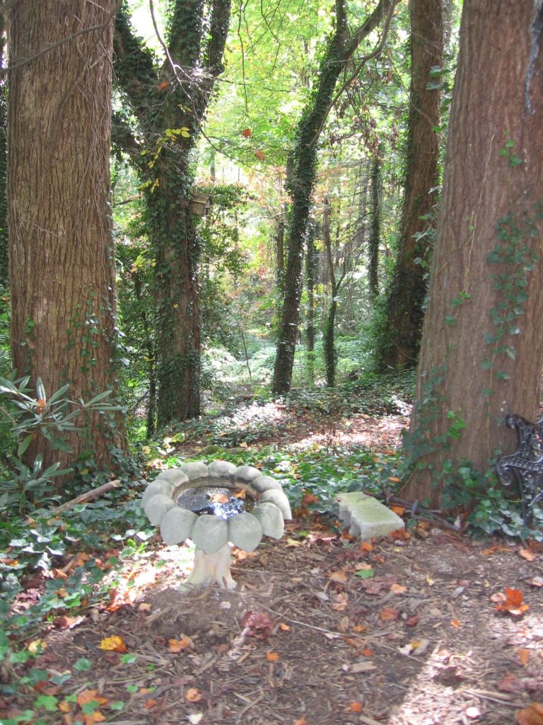 [IMG_2093b.jpg]